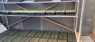 이.일신.꽃분아빠님의 자유주제 · 자유게시판 작성글 사진