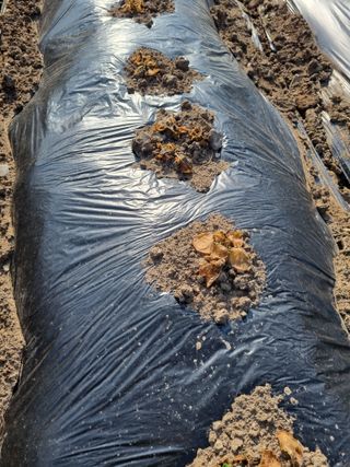 강물처럼님의 자유주제 · 자유게시판 작성글 사진