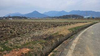 이현철님의 자유주제 · 자유게시판 작성글 사진