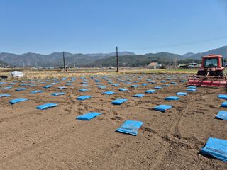 사천시향촌동 돼지띠님의 자유주제 · 자유게시판 작성글 사진