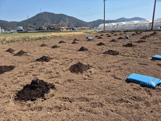 사천시향촌동 돼지띠님의 자유주제 · 자유게시판 작성글 사진