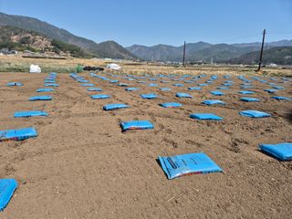 사천시향촌동 돼지띠님의 자유주제 · 자유게시판 작성글 사진