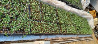 이.일신.꽃분아빠님의 자유주제 · 자유게시판 작성글 사진