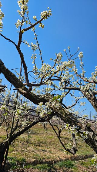 배성은365님의 자유주제 · 칭찬해요 작성글 사진