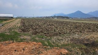 이현철님의 자유주제 · 자유게시판 작성글 사진