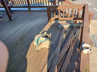 알 수 없음님의 자유주제 · 자유게시판 작성글 사진