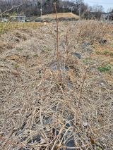 팜모닝 자유주제·자유게시판 게시글 이미지