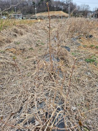 박혜옥님의 자유주제 · 자유게시판 작성글 사진