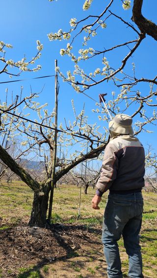 배성은365님의 자유주제 · 칭찬해요 작성글 사진