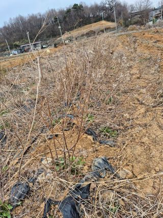 박혜옥님의 자유주제 · 자유게시판 작성글 사진