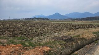 이현철님의 자유주제 · 자유게시판 작성글 사진