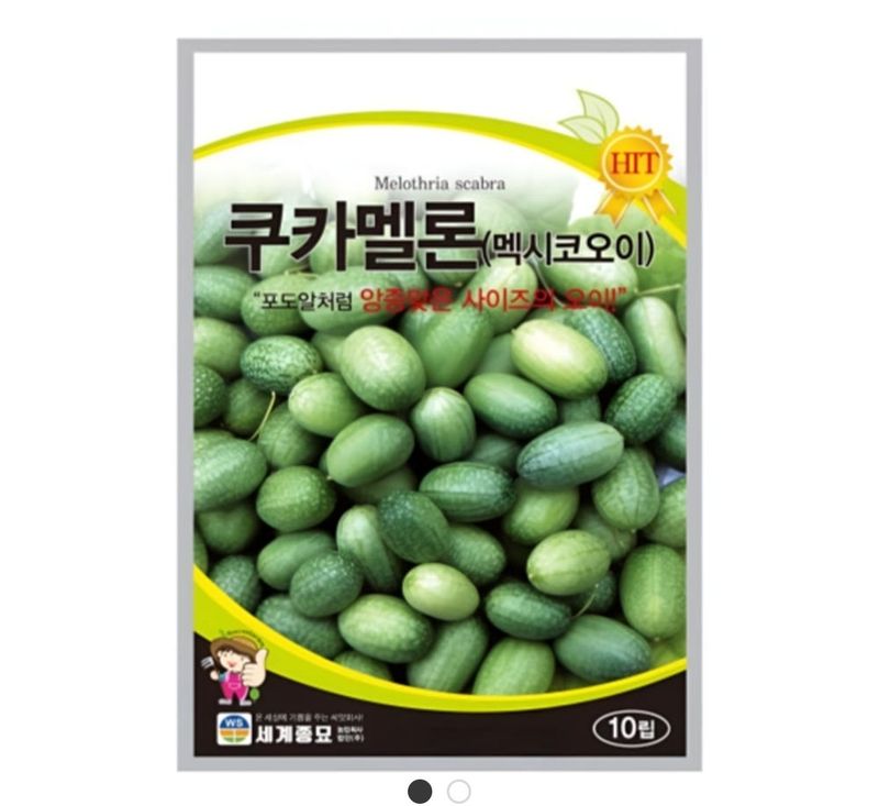 장터 상품 [쿠카멜론오이 10립] 썸네일