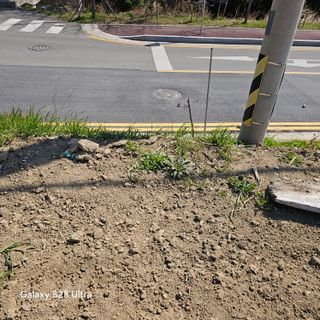박용열조물주님 님의 자유주제 · 자유게시판 작성글 사진