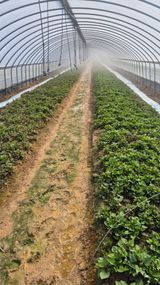 팜모닝 자유주제·자유게시판 게시글 이미지