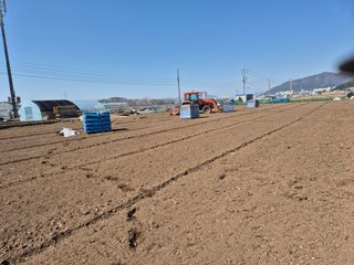 사천시향촌동 돼지띠님의 자유주제 · 자유게시판 작성글 사진