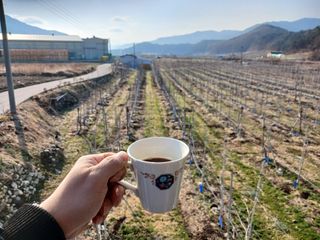 알 수 없음님의 자유주제 · 자유게시판 작성글 사진