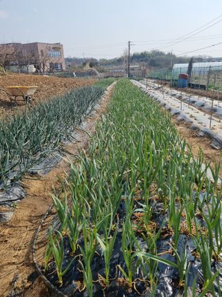 유일기님의 자유주제 · 자유게시판 작성글 사진