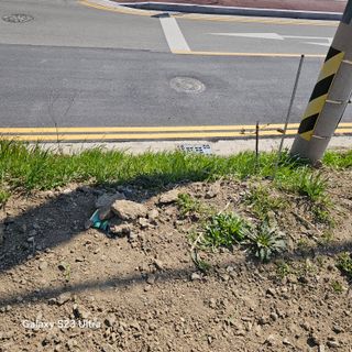 박용열조물주님 님의 자유주제 · 자유게시판 작성글 사진