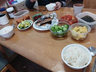 알 수 없음님의 자유주제 · 자유게시판 작성글 사진