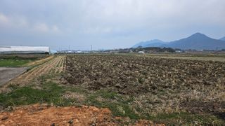 이현철님의 자유주제 · 자유게시판 작성글 사진