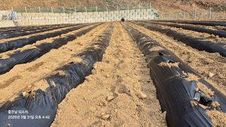 김진님의 자유주제 · 자유게시판 작성글 사진