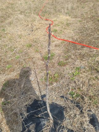 리얼팜님의 자유주제 · 자유게시판 작성글 사진