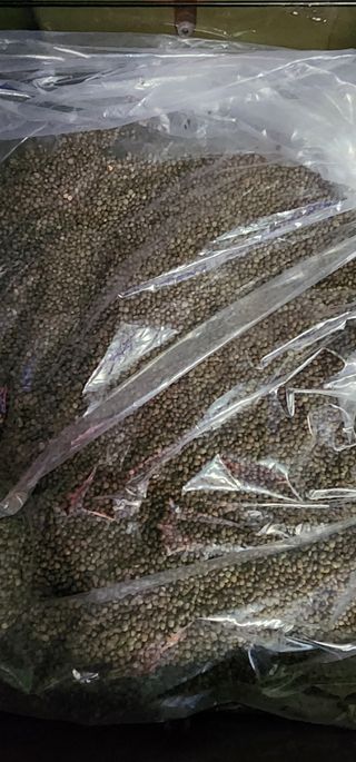 박은희님의 자유주제 · 칭찬해요 작성글 사진