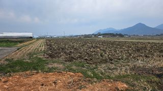 이현철님의 자유주제 · 자유게시판 작성글 사진