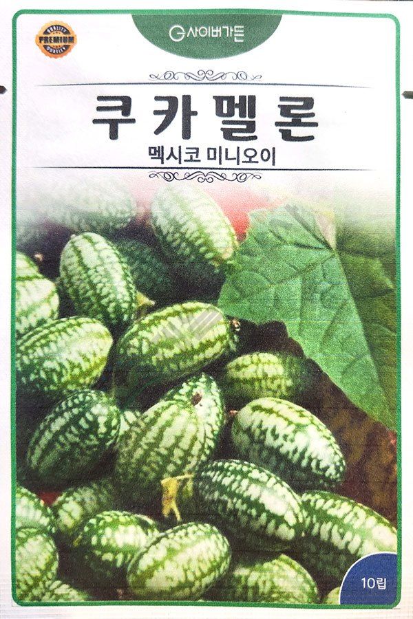 안산제일농약사님의 장터 판매 상품 [쿠카멜론씨앗 멕시코미니오이씨앗] 첨부 사진