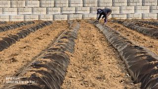 김진님의 자유주제 · 자유게시판 작성글 사진