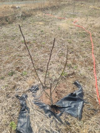 리얼팜님의 자유주제 · 자유게시판 작성글 사진