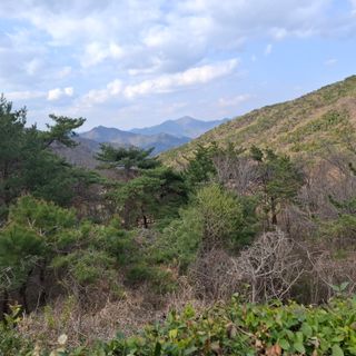 오영도님의 자유주제 · 자유게시판 작성글 사진