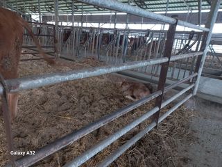 신철승님의 자유주제 · 자유게시판 작성글 사진