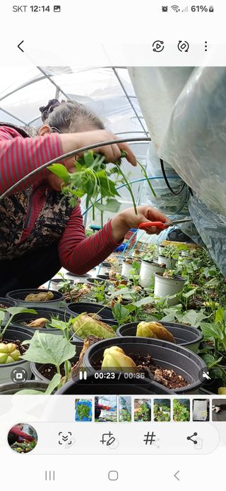 산성골농장님의 자유주제 · 자유게시판 작성글 사진