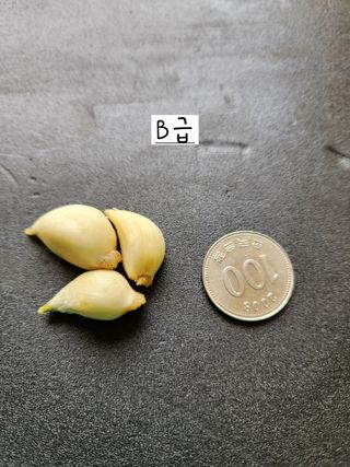 해풍님의 작성글 사진