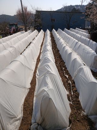 포도15320님의 자유주제 · 자유게시판 작성글 사진