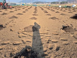 사천시향촌동 돼지띠님의 자유주제 · 자유게시판 작성글 사진