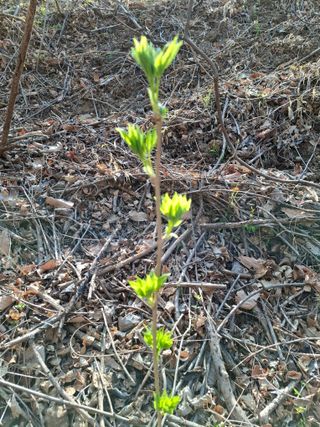 박정미님의 자유주제 · 자유게시판 작성글 사진