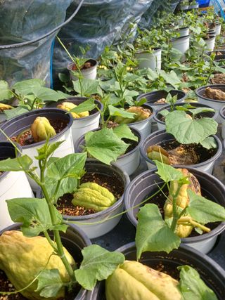 산성골농장님의 자유주제 · 자유게시판 작성글 사진