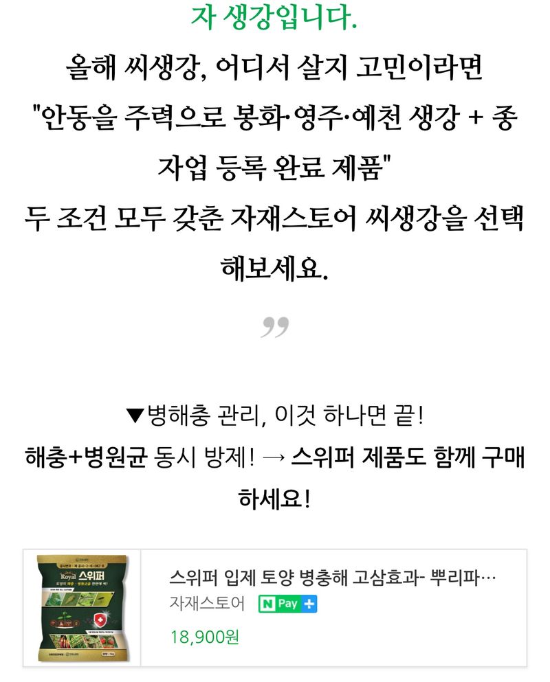 자재스토어님의 장터 판매 상품 [씨생강 생강종자 종자용생강 국산 1kg 3kg 5kg 10kg] 첨부 사진