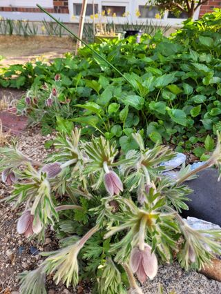 안길원님의 자유주제 · 자유게시판 작성글 사진