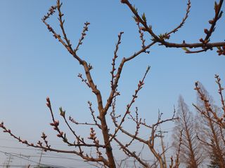 김양석님의 자유주제 · 자유게시판 작성글 사진