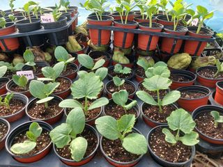 산성골농장님의 자유주제 · 자유게시판 작성글 사진