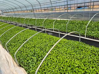 김영진(전남영광)님의 자유주제 · 자유게시판 작성글 사진