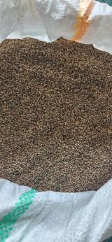 팜모닝 · 게시글 이미지