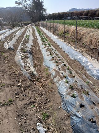 포도15320님의 자유주제 · 자유게시판 작성글 사진