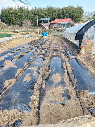 양김정숙님의 자유주제 · 자유게시판 작성글 사진