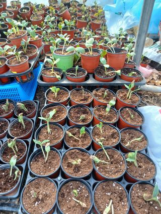 산성골농장님의 자유주제 · 자유게시판 작성글 사진