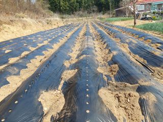 양김정숙님의 자유주제 · 자유게시판 작성글 사진