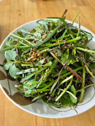 봉우재농부님의 자유주제 · 자유게시판 작성글 사진